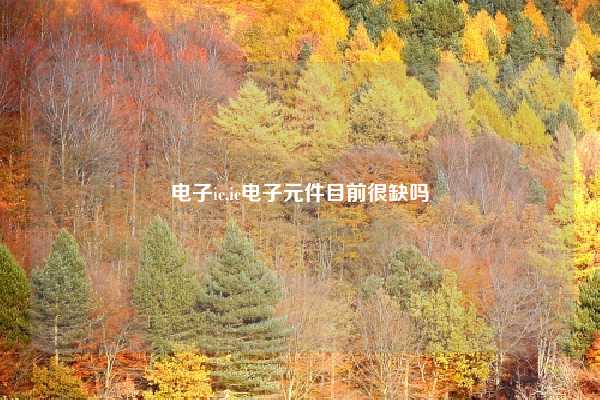 电子ic,ic电子元件目前很缺吗