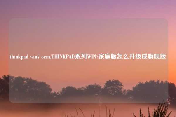 thinkpad win7 oem,THINKPAD系列WIN7家庭版怎么升级成旗舰版