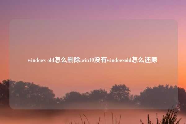 windows old怎么删除,win10没有windowsold怎么还原