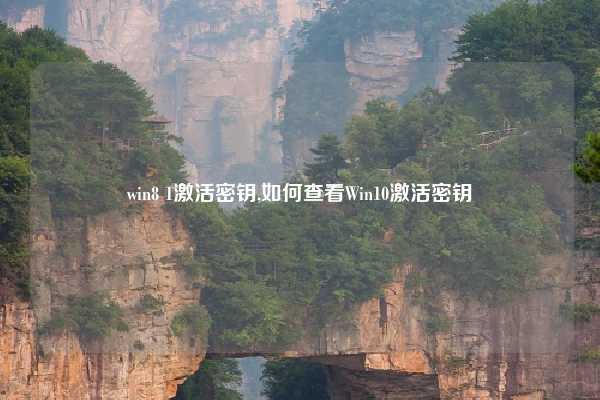win8 1激活密钥,如何查看Win10激活密钥
