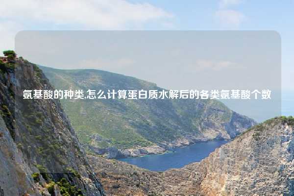 氨基酸的种类,怎么计算蛋白质水解后的各类氨基酸个数
