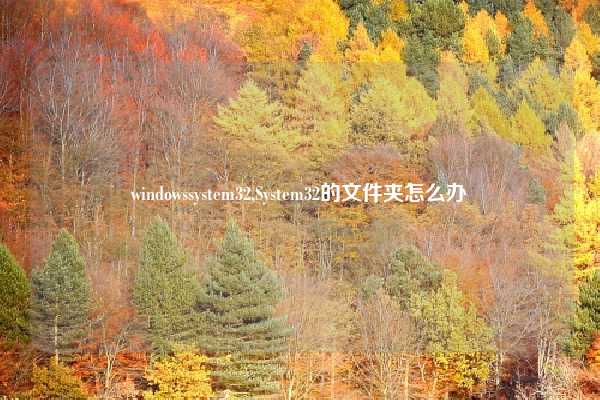 windowssystem32,System32的文件夹怎么办