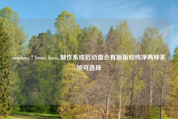 windows 7 home basic,制作系统启动盘会有原版和纯净两种系统可选择