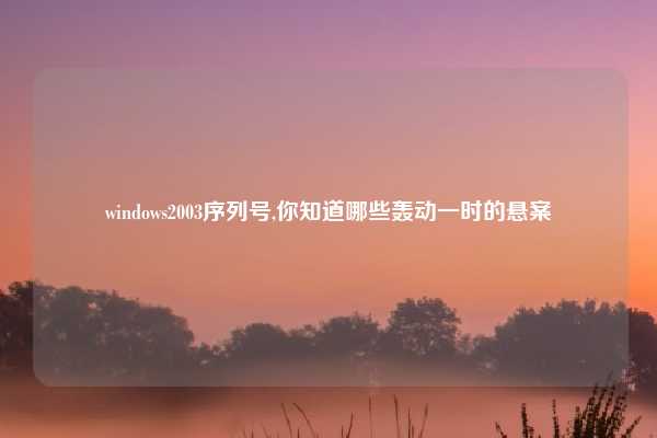 windows2003序列号,你知道哪些轰动一时的悬案