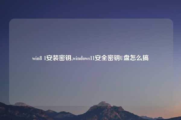 win8 1安装密钥,windows11安全密钥U盘怎么搞