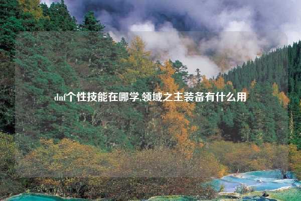 dnf个性技能在哪学,领域之主装备有什么用