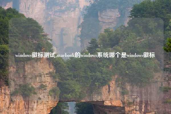 windows徽标测试,macbook的windows系统哪个是windows徽标