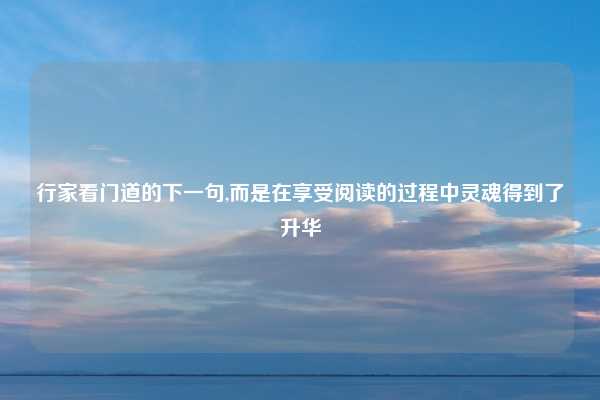 行家看门道的下一句,而是在享受阅读的过程中灵魂得到了升华