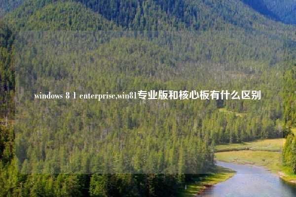 windows 8 1 enterprise,win81专业版和核心板有什么区别