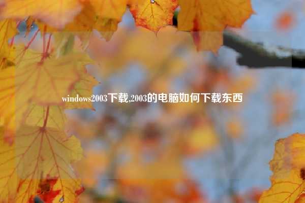 windows2003下载,2003的电脑如何下载东西