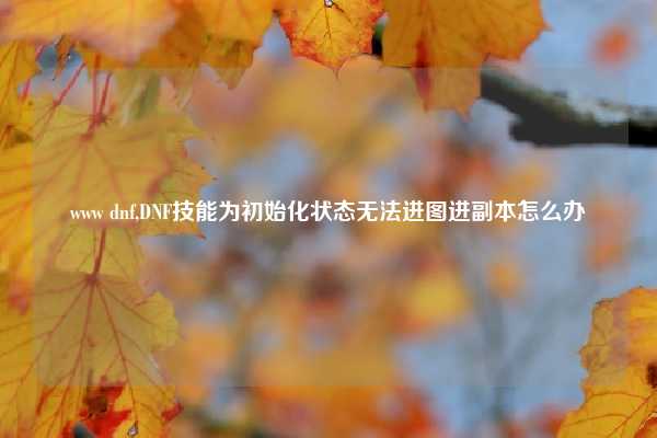 www dnf,DNF技能为初始化状态无法进图进副本怎么办