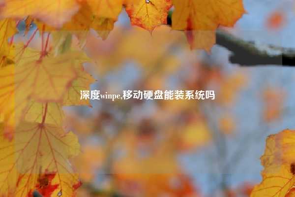 深度winpe,移动硬盘能装系统吗
