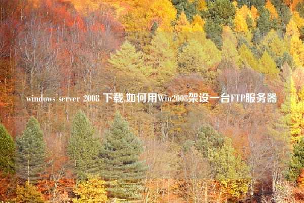 windows server 2008 下载,如何用Win2008架设一台FTP服务器