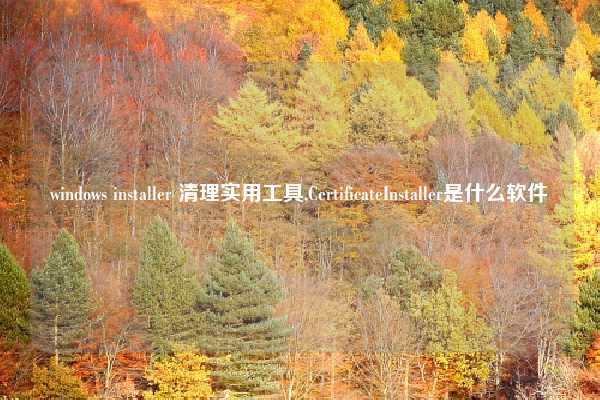 windows installer 清理实用工具,CertificateInstaller是什么软件