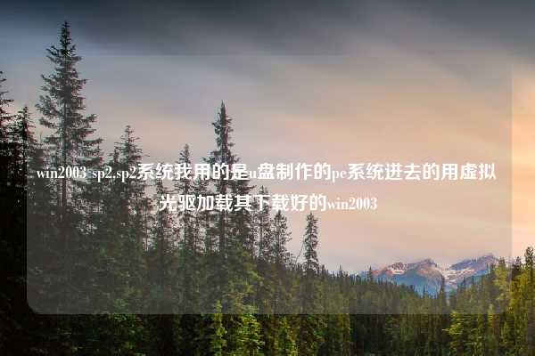 win2003 sp2,sp2系统我用的是u盘制作的pe系统进去的用虚拟光驱加载其下载好的win2003