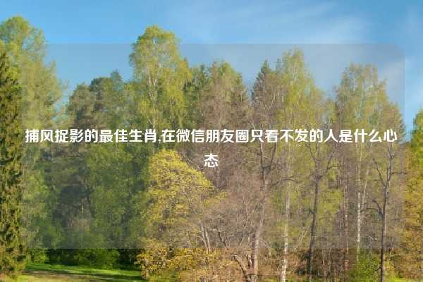 捕风捉影的最佳生肖,在微信朋友圈只看不发的人是什么心态