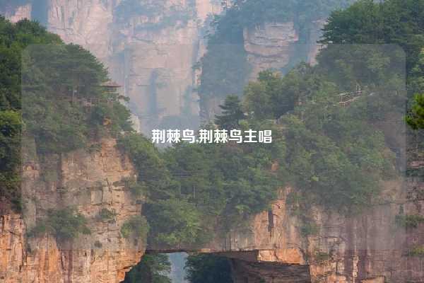 荆棘鸟,荆棘鸟主唱
