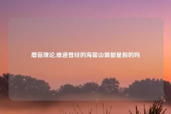 蘑菇理论,难道曾经的海誓山盟都是假的吗