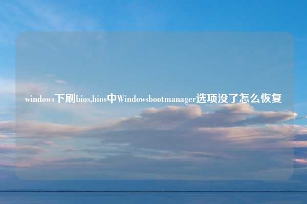 windows下刷bios,bios中Windowsbootmanager选项没了怎么恢复