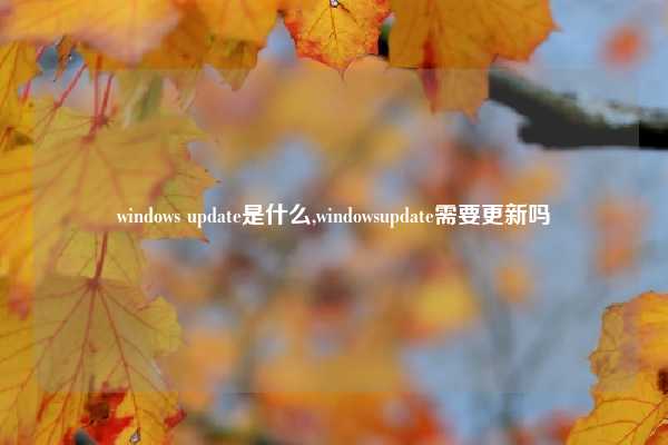 windows update是什么,windowsupdate需要更新吗