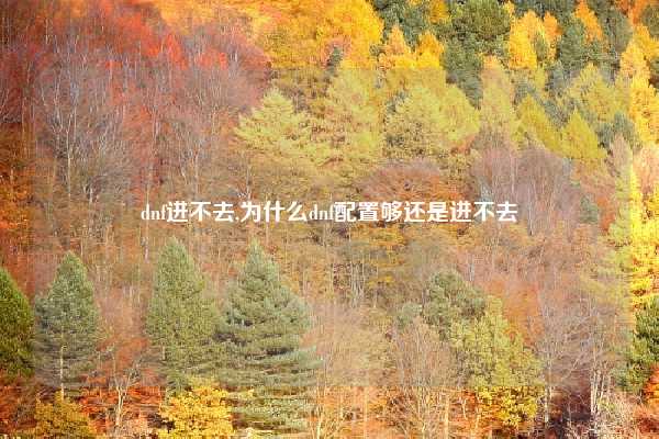 dnf进不去,为什么dnf配置够还是进不去