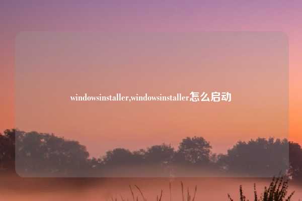 windowsinstaller,windowsinstaller怎么启动