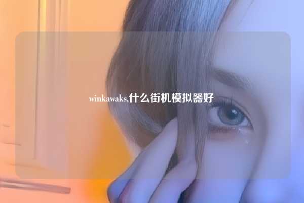 winkawaks,什么街机模拟器好