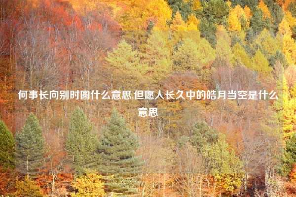 何事长向别时圆什么意思,但愿人长久中的皓月当空是什么意思