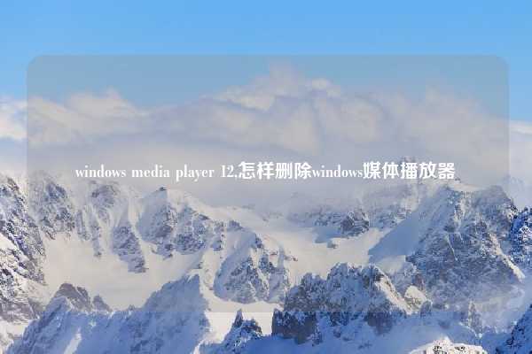 windows media player 12,怎样删除windows媒体播放器