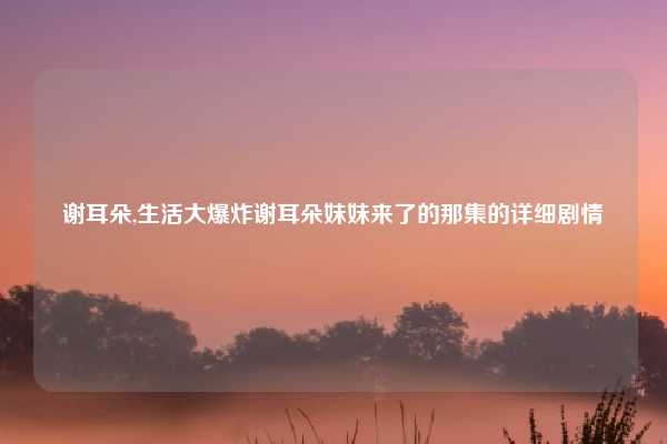 谢耳朵,生活大爆炸谢耳朵妹妹来了的那集的详细剧情