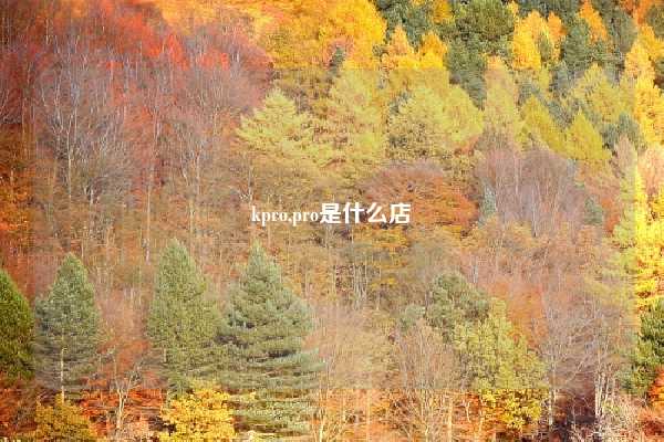 kpro,pro是什么店