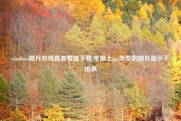 windows图片和传真查看器下载,电脑上jpg类型的图片显示不出来