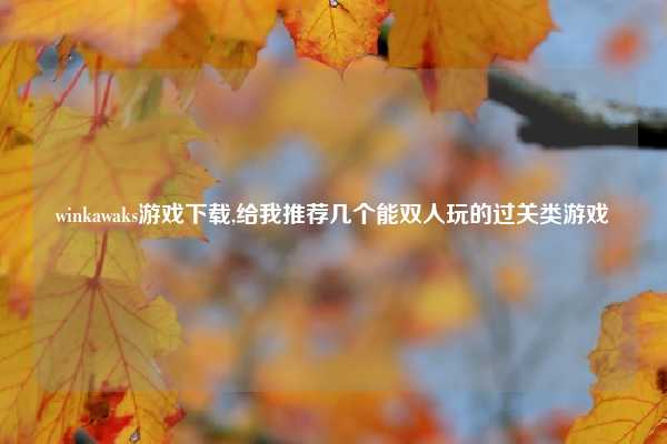 winkawaks游戏下载,给我推荐几个能双人玩的过关类游戏