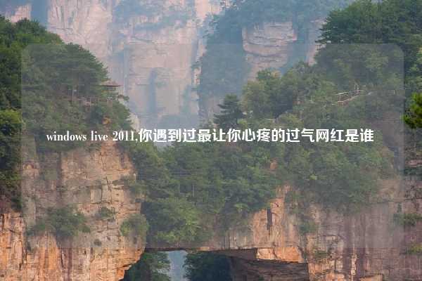windows live 2011,你遇到过最让你心疼的过气网红是谁