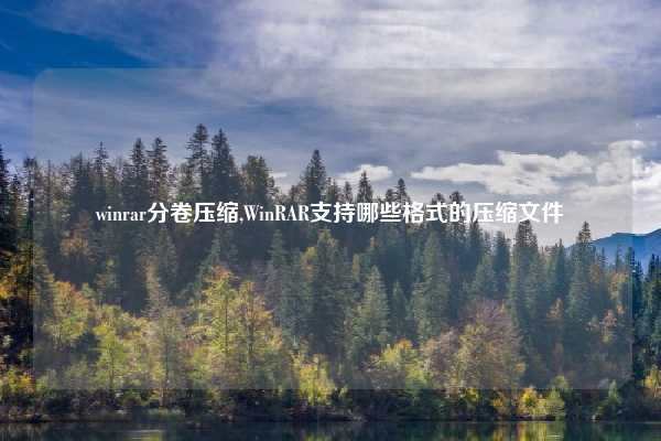 winrar分卷压缩,WinRAR支持哪些格式的压缩文件