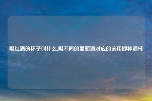 喝红酒的杯子叫什么,喝不同的葡萄酒对应的该用哪种酒杯