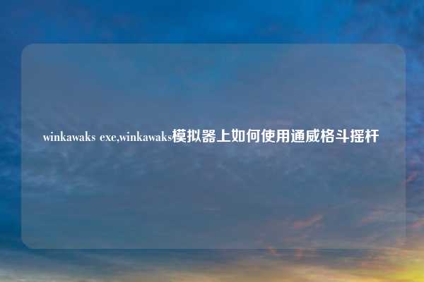 winkawaks exe,winkawaks模拟器上如何使用通威格斗摇杆