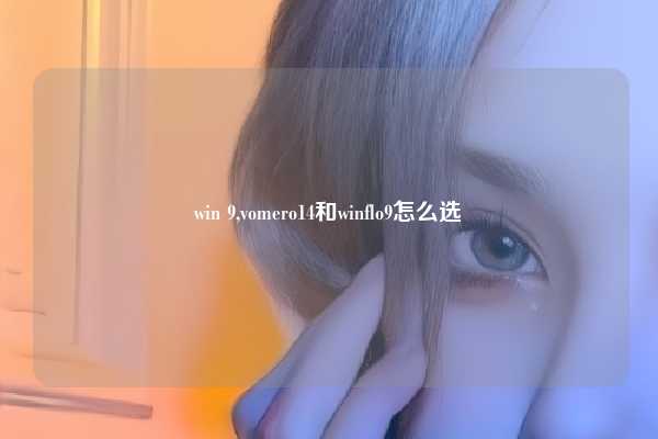 win 9,vomero14和winflo9怎么选