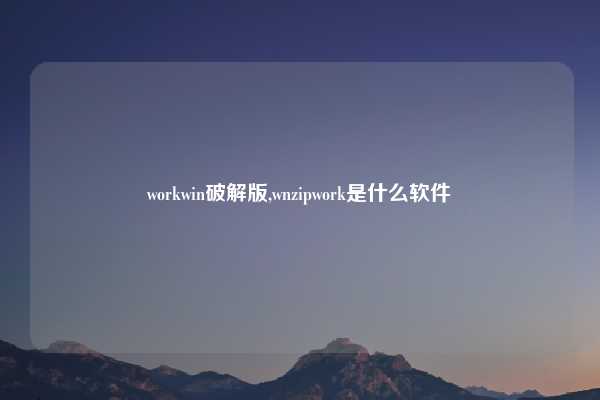 workwin破解版,wnzipwork是什么软件