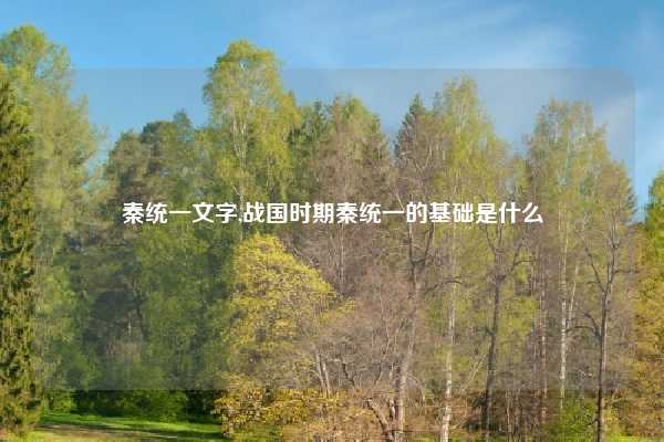 秦统一文字,战国时期秦统一的基础是什么