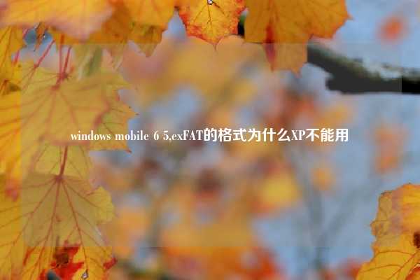 windows mobile 6 5,exFAT的格式为什么XP不能用