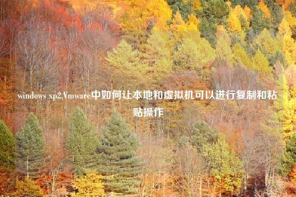 windows xp2,Vmware中如何让本地和虚拟机可以进行复制和粘贴操作