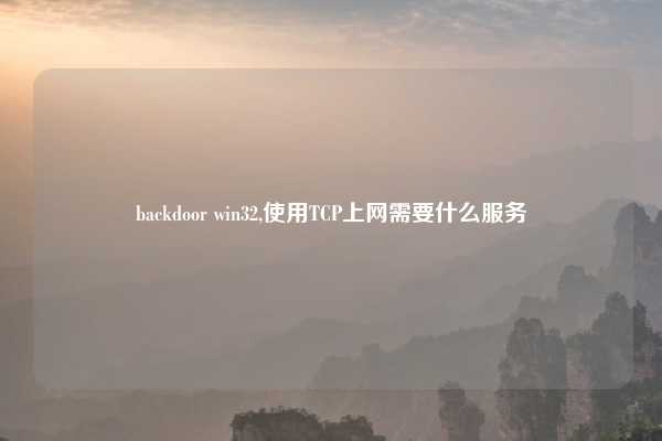 backdoor win32,使用TCP上网需要什么服务