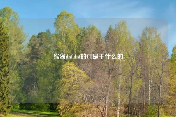 猴岛dnf,dnf的CT是干什么的