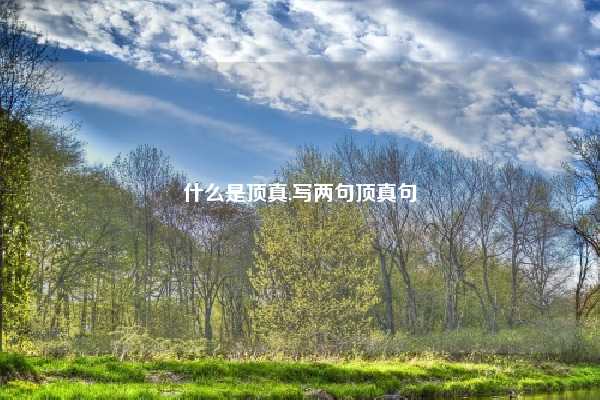 什么是顶真,写两句顶真句
