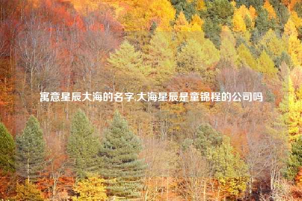 寓意星辰大海的名字,大海星辰是童锦程的公司吗
