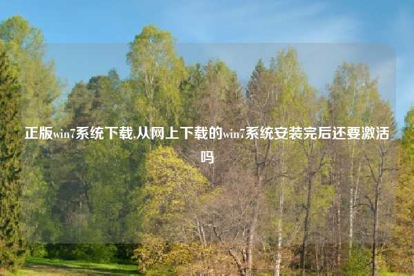 正版win7系统下载,从网上下载的win7系统安装完后还要激活吗