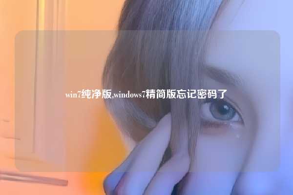 win7纯净版,windows7精简版忘记密码了