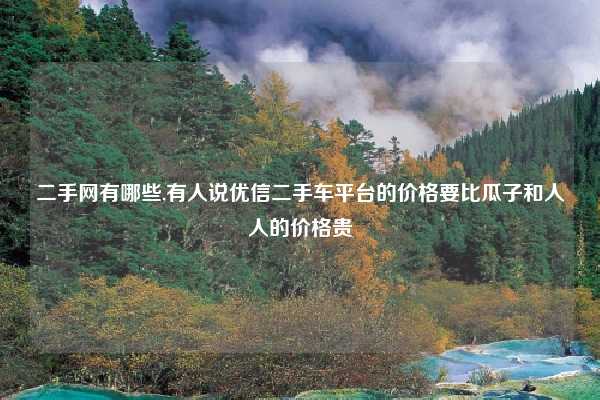 二手网有哪些,有人说优信二手车平台的价格要比瓜子和人人的价格贵