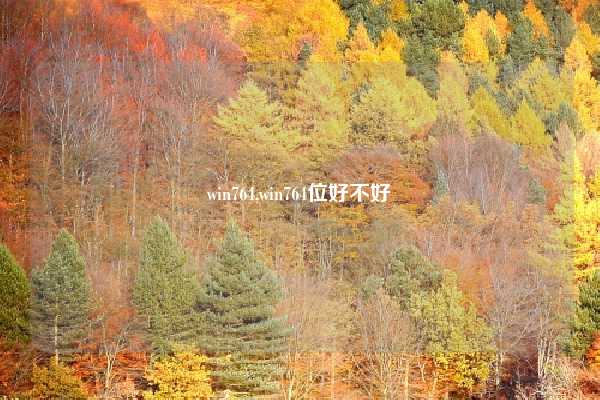 win764,win764位好不好